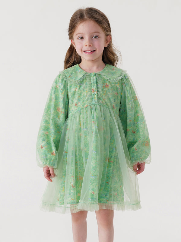 MARC & JANIE Toddler Girl Peter Pan Collar Printed Mesh Dress 240316